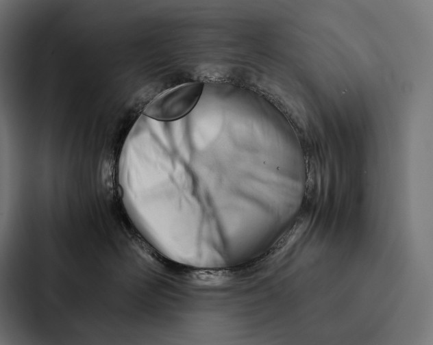 X0000087310526200705112119