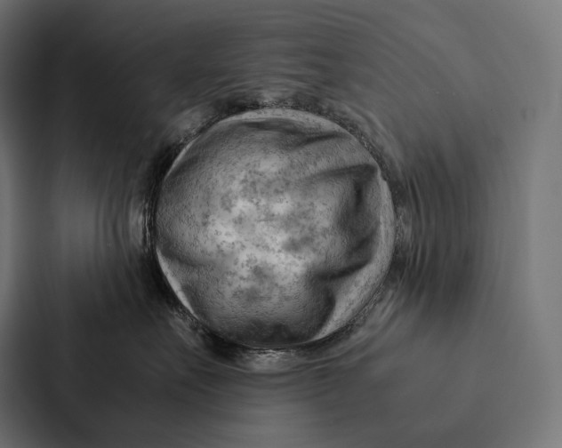 X0000087310527200705112119