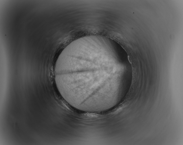 X0000087310528200705112119