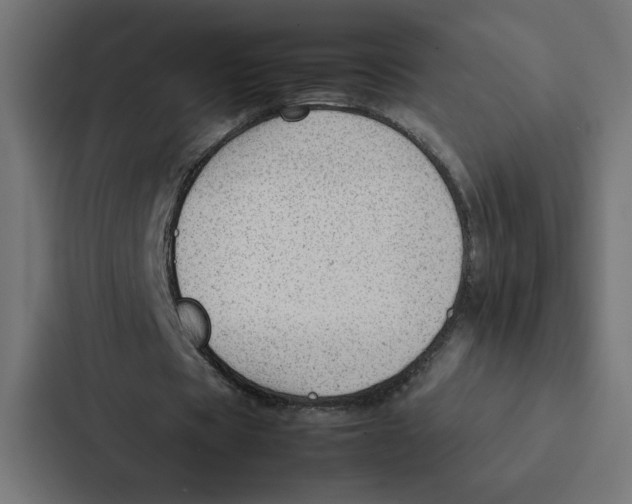 X0000087310529200705112119