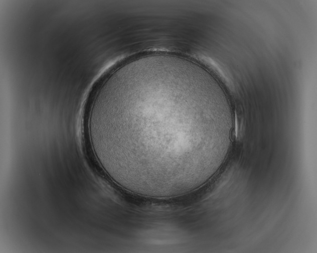 X0000087310531200705112119