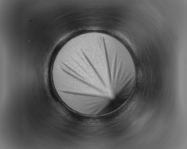 X0000087310535200705112119