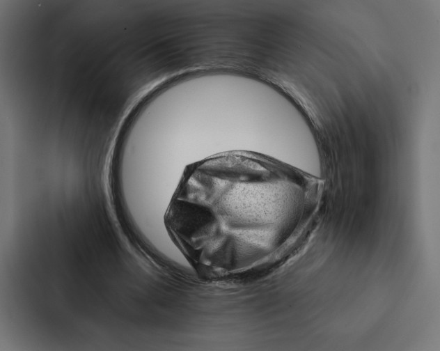 X0000087310536200705112119