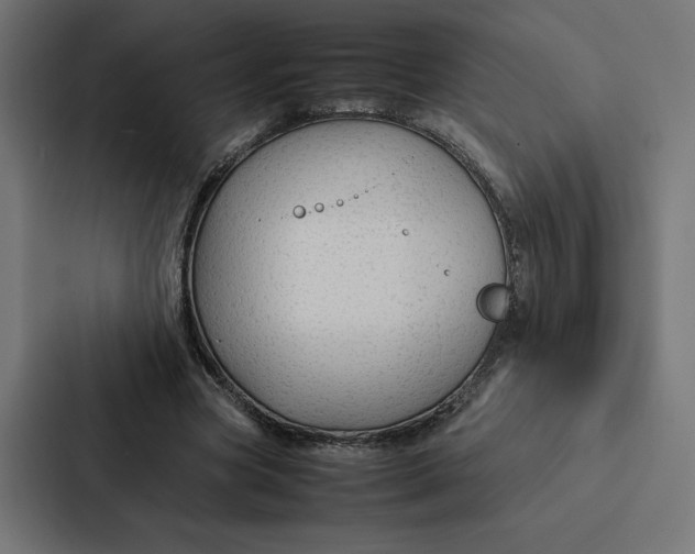 X0000087310537200705112119