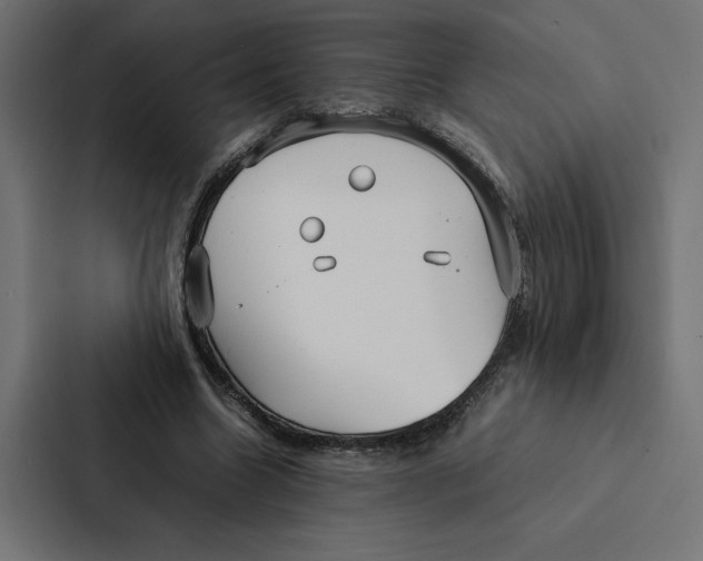 X0000087310538200705112119