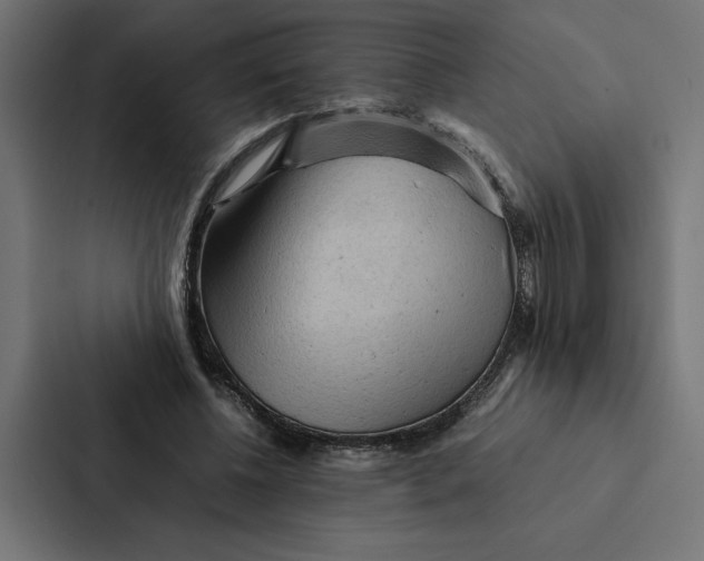 X0000087310540200705112119