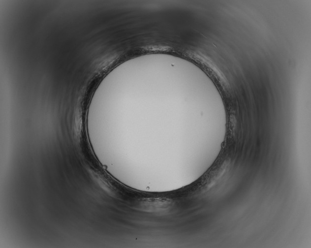 X0000087310541200705112119