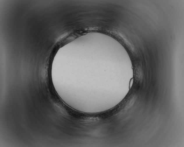 X0000087310543200705112119