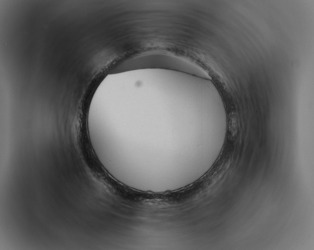 X0000087310544200705112119