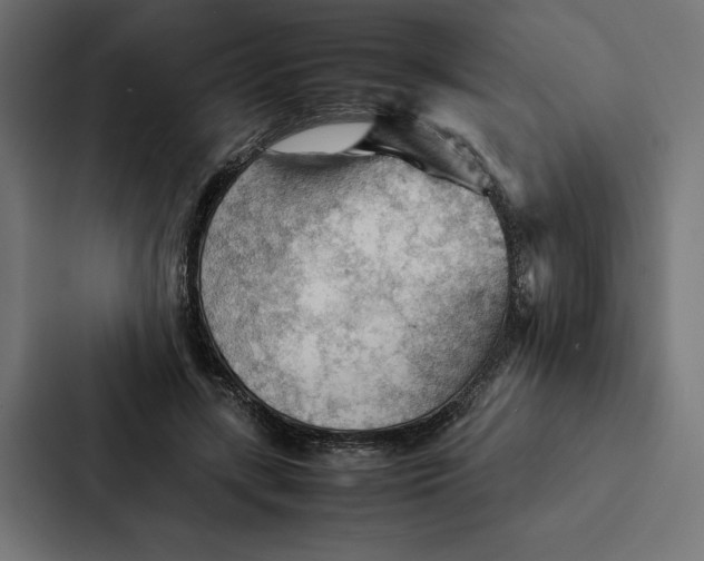 X0000087310547200705112119