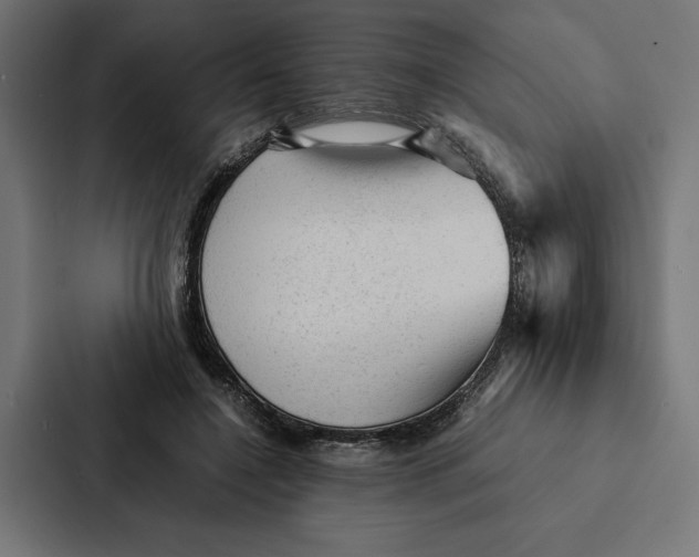 X0000087310548200705112119