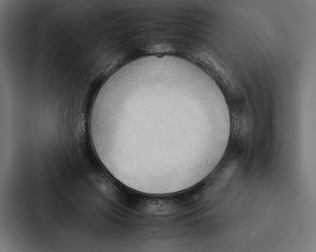 X0000087310549200705112119