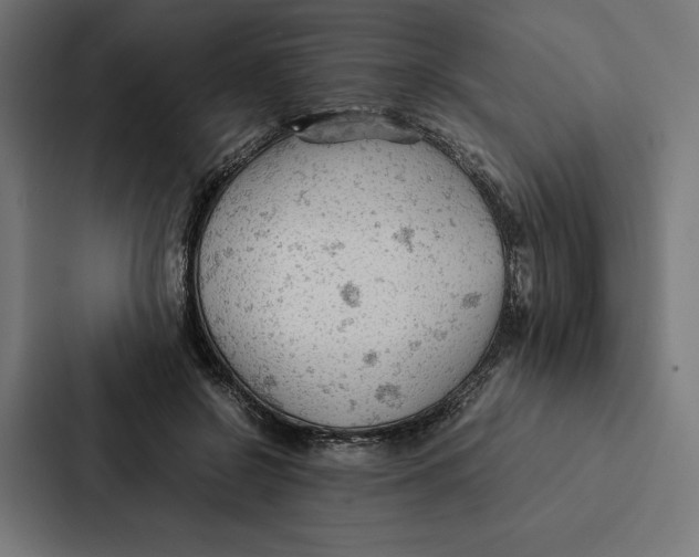 X0000087310550200705112119