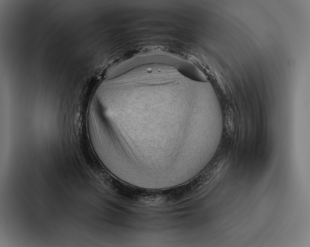 X0000087310551200705112119