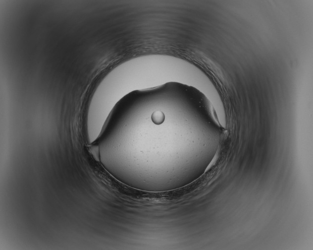 X0000087310552200705112119