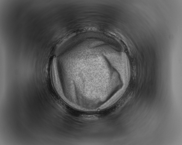 X0000087310553200705112119