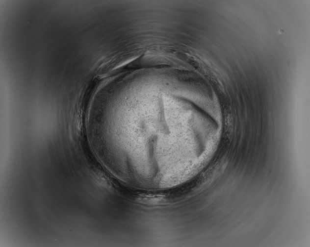 X0000087310554200705112119