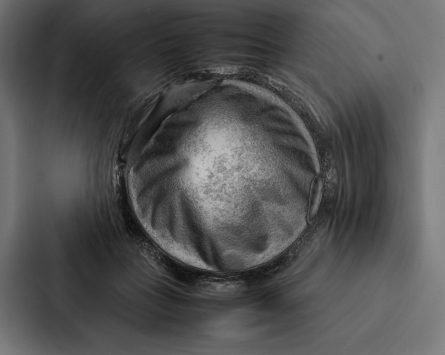 X0000087310555200705112119