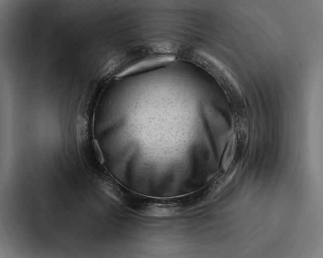 X0000087310556200705112119