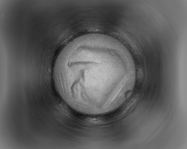 X0000087310557200705112119