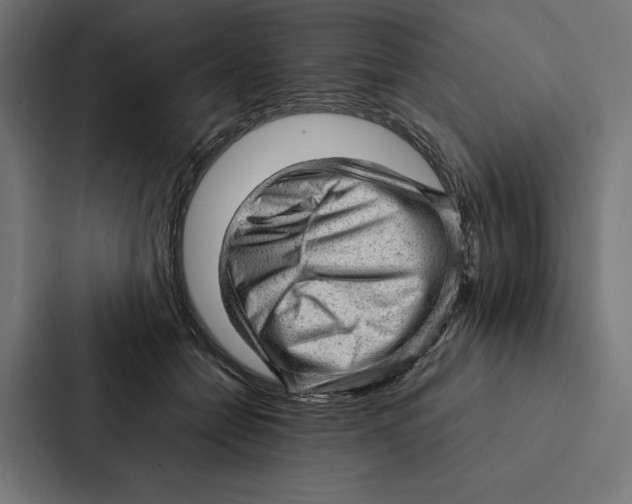 X0000087310558200705112119