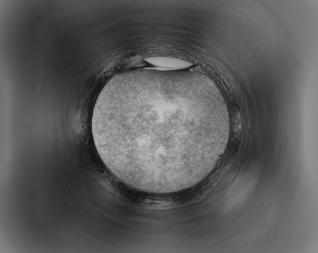 X0000087310559200705112119