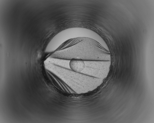 X0000087310560200705112119