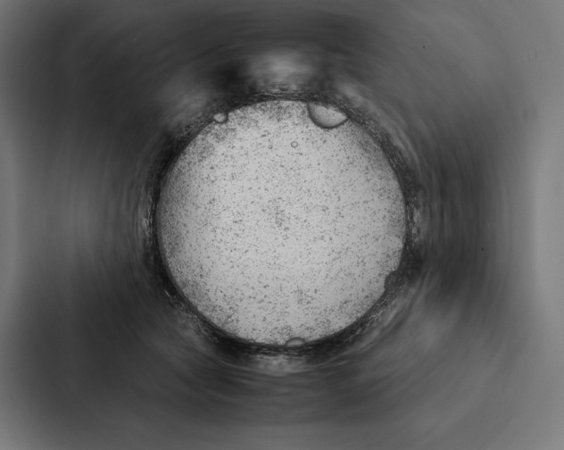 X0000087310561200705112119