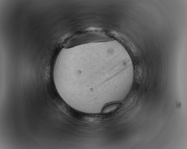 X0000087310563200705112119