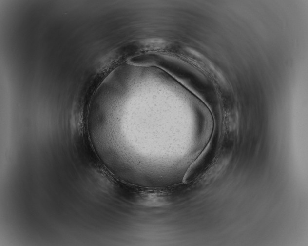 X0000087310564200705112119