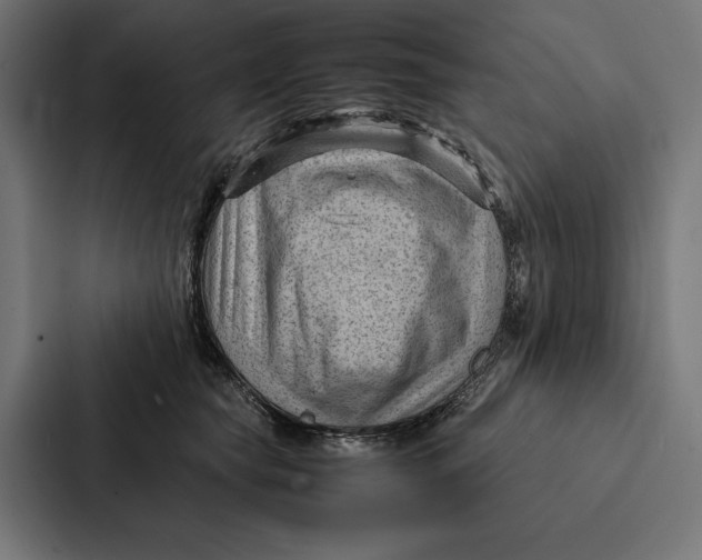 X0000087310565200705112119