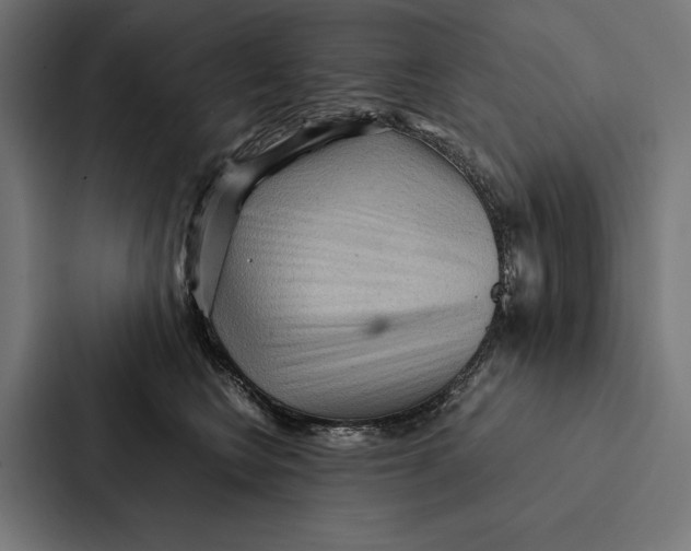 X0000087310566200705112119