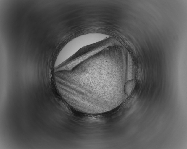 X0000087310569200705112119