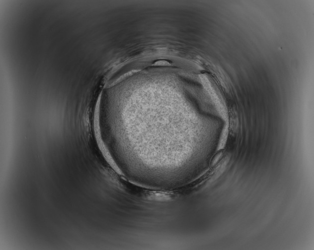 X0000087310573200705112119