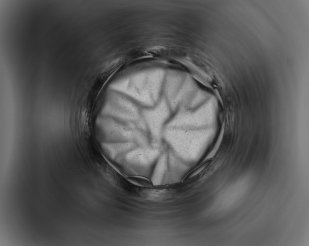 X0000087310575200705112119