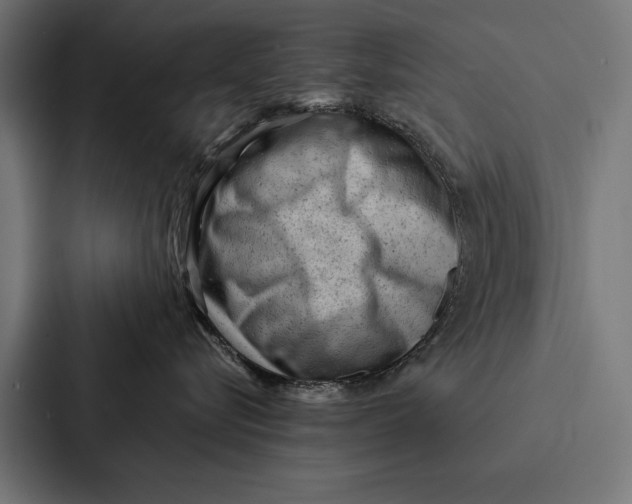 X0000087310576200705112119