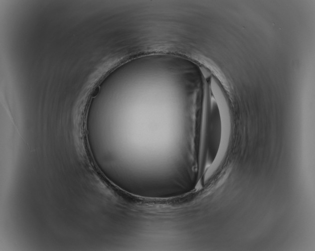 X0000087310577200705112119