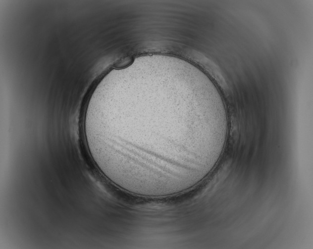 X0000087310578200705112118