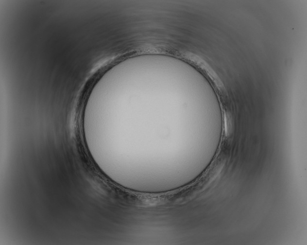 X0000087310579200705112118