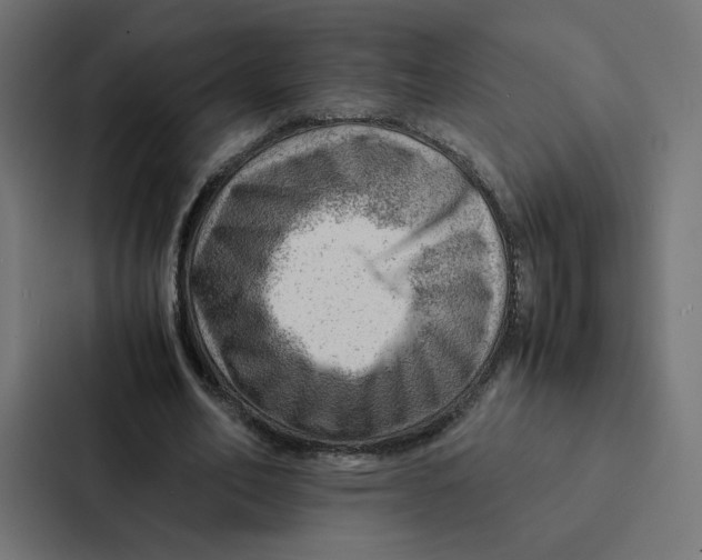 X0000087310582200705112118