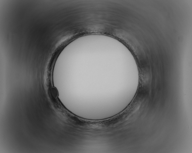 X0000087310583200705112118