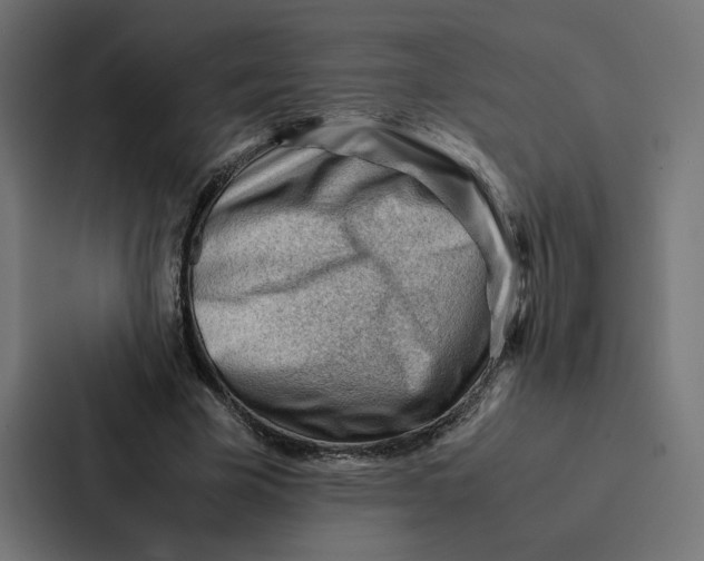 X0000087310585200705112118