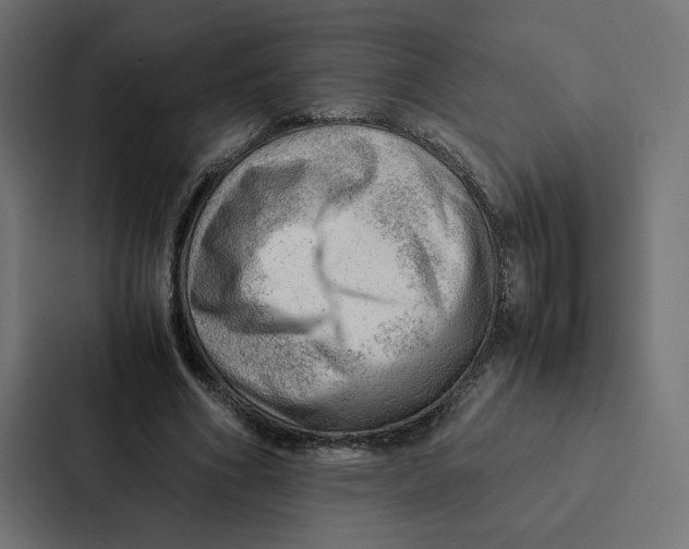 X0000087310586200705112118