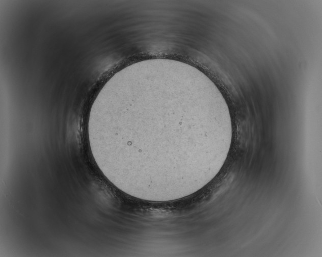 X0000087310592200705112118