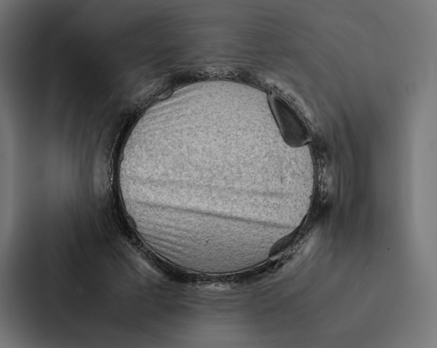 X0000087310593200705112118