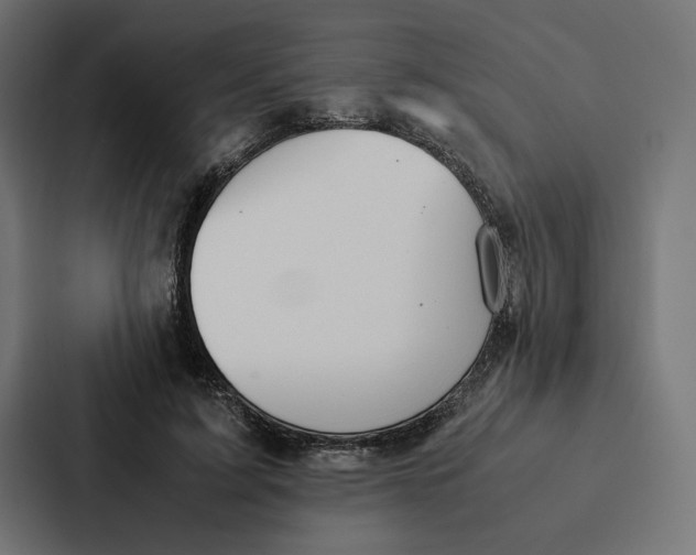 X0000087310595200705112118