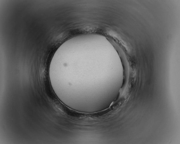 X0000087310597200705112118