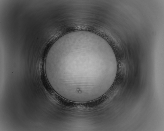 X0000087310598200705112118