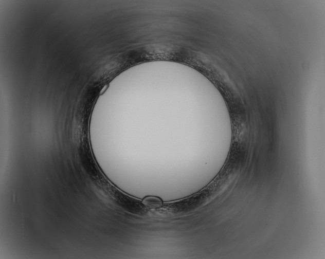 X0000087310599200705112118