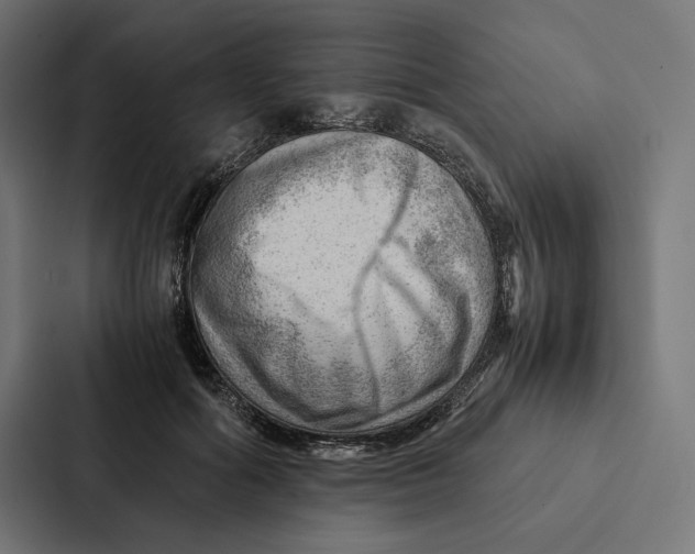 X0000087310602200705112118